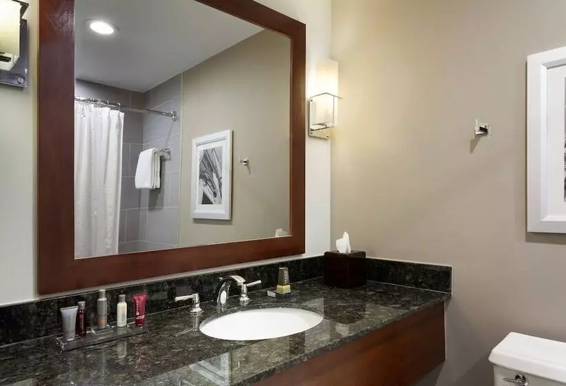 اتاق استاندارد با 2 تخت دوبل, Doubletree By Hilton Minneapolis Airport, Mn