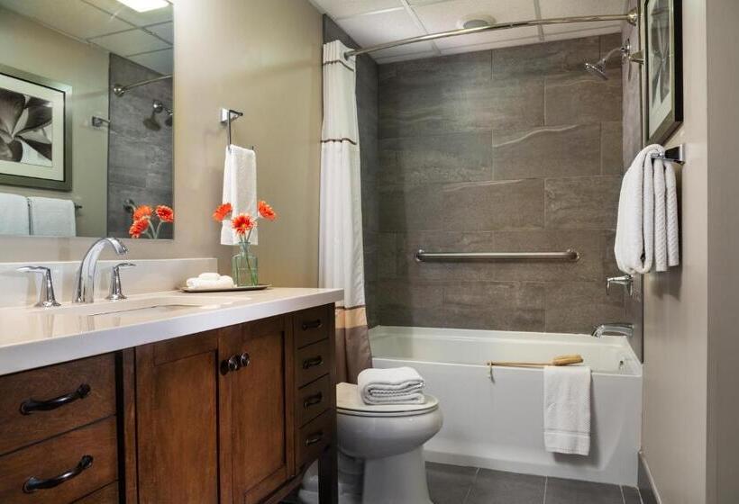 غرفة قياسية, Meadowbrook Inn