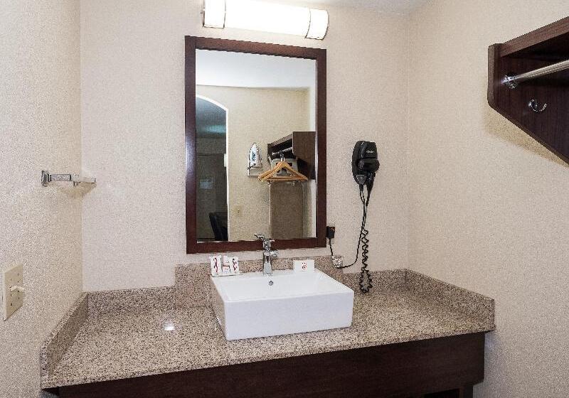 디럭스 룸 킹사이즈 침대, Red Roof Inn Lancaster