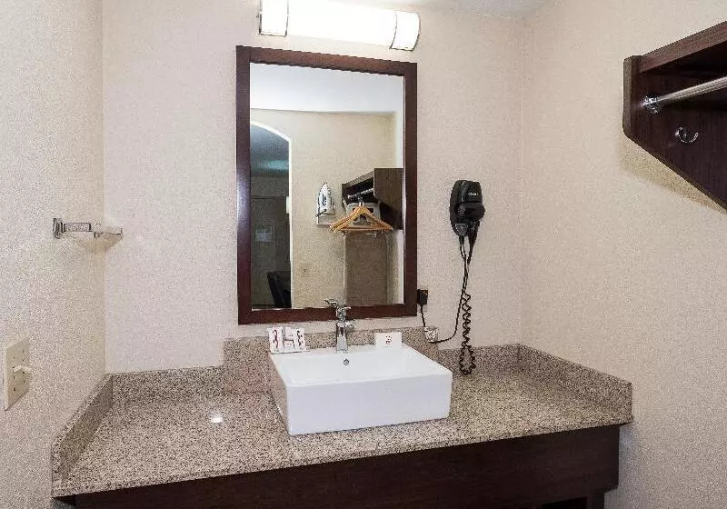اتاق سوپریور با تخت بزرگ, Red Roof Inn Lancaster