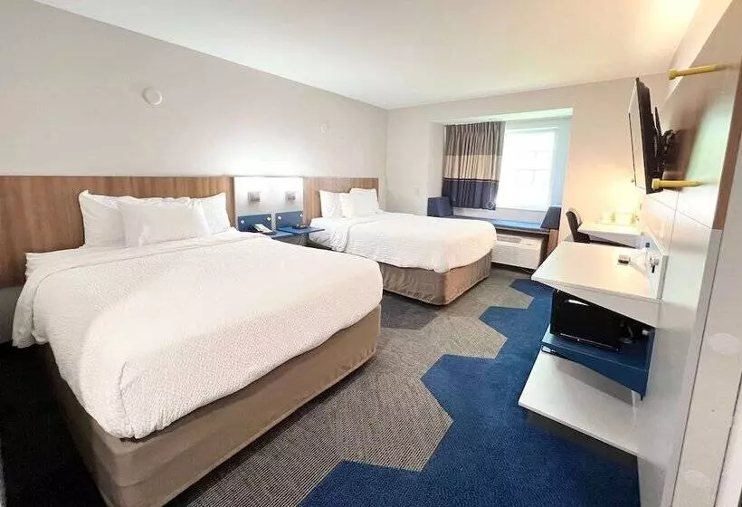 身障者適用スタンダードルーム, Microtel Inn By Wyndham Janesville