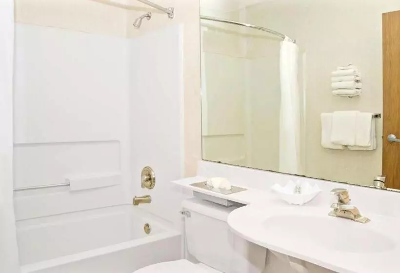 اتاق استاندارد برای معلولان, Microtel Inn By Wyndham Raleigh Durham Airport