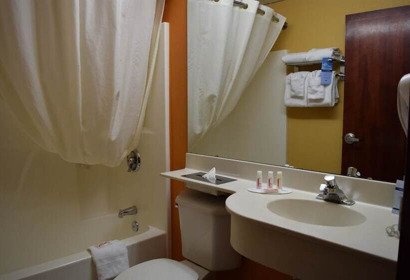 جناح, Microtel Inn & Suites By Wyndham Rock Hill/charlotte Area