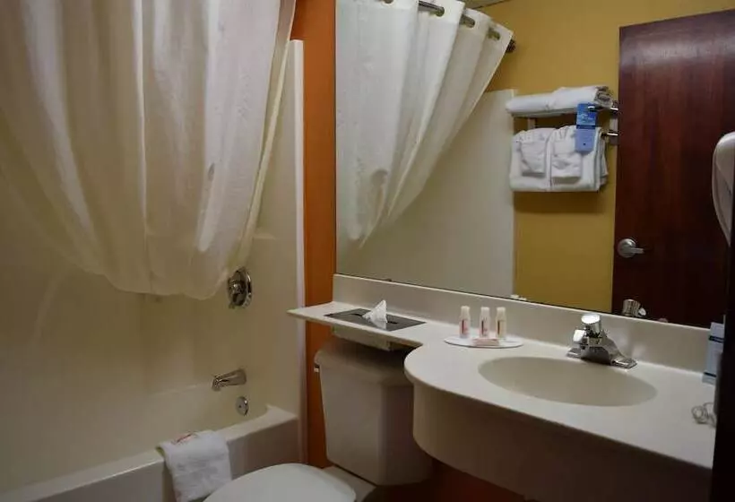 スイート, Microtel Inn & Suites By Wyndham Rock Hill/charlotte Area
