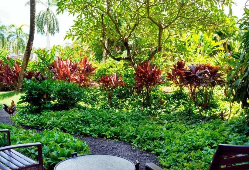 اتاق استاندارد چهار تخته, The Royal Sonesta Kaua I Resort Lihue