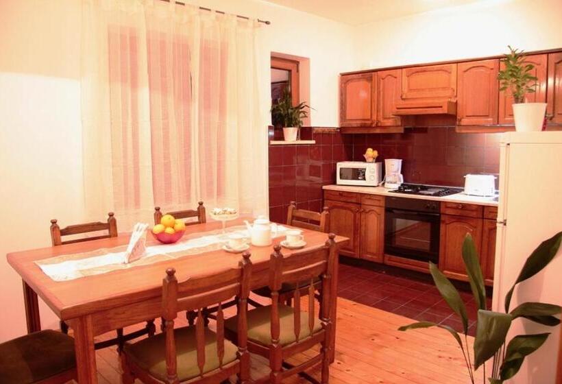 شقة غرفة واحدة, Apartments Anuška