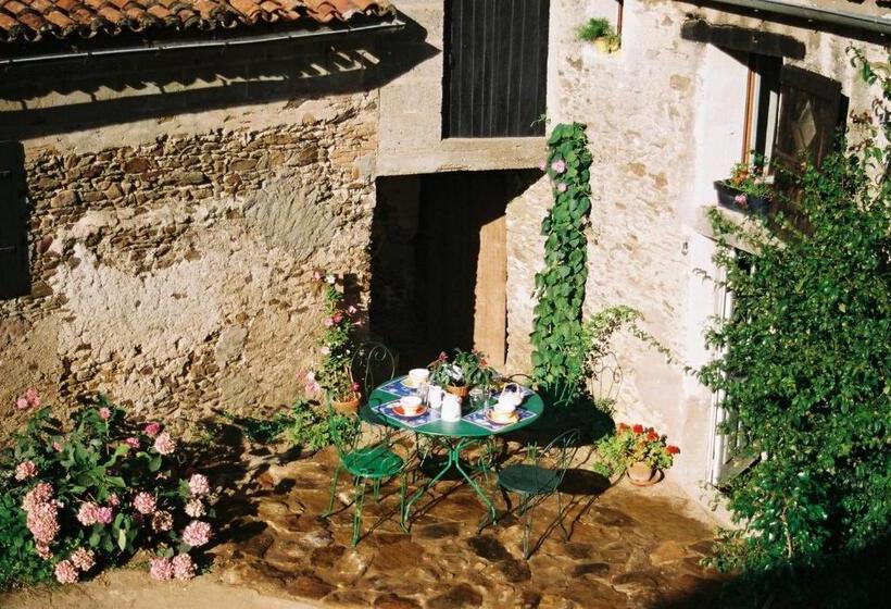 スタンダードルーム, Topaze