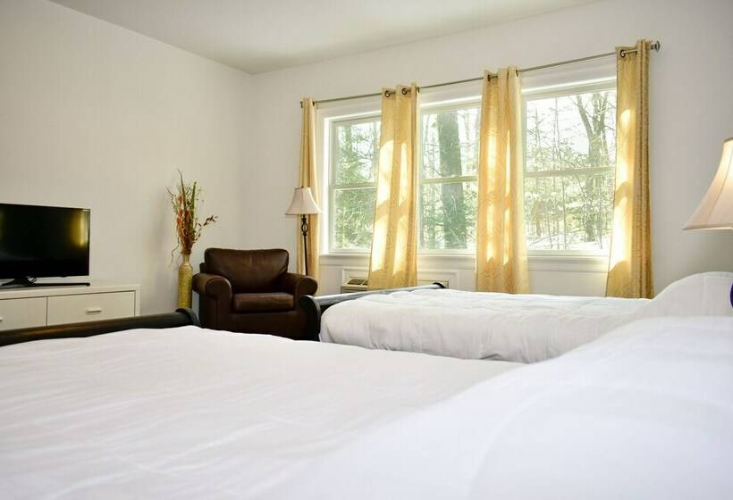 프리미엄 룸, Solano Inn