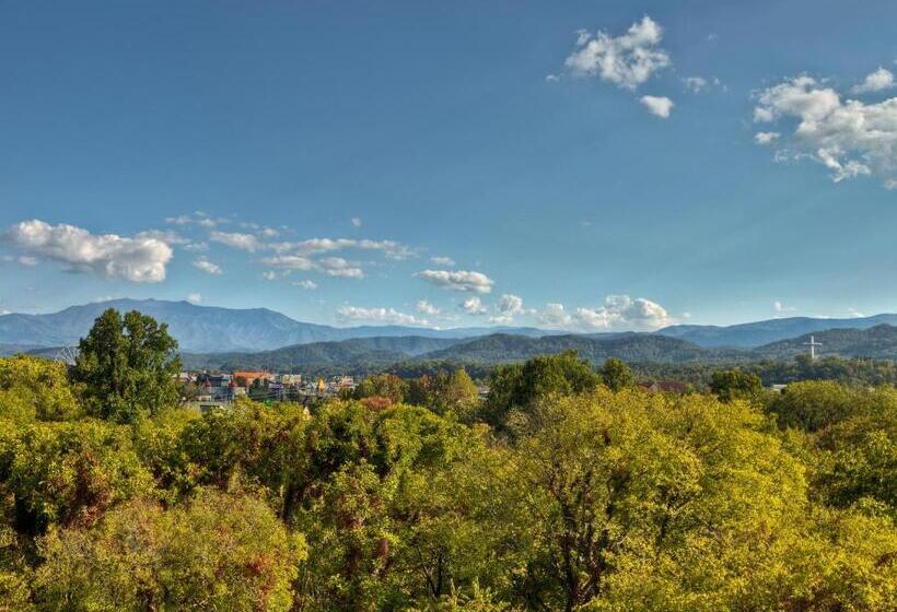 اتاق سوپریور با تخت بزرگ, Music Road Resort Hotel And Inn