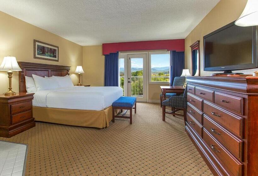 اتاق سوپریور با تخت بزرگ, Music Road Resort Hotel And Inn