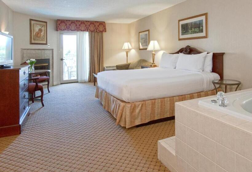 اتاق پرمیوم, Music Road Resort Hotel And Inn