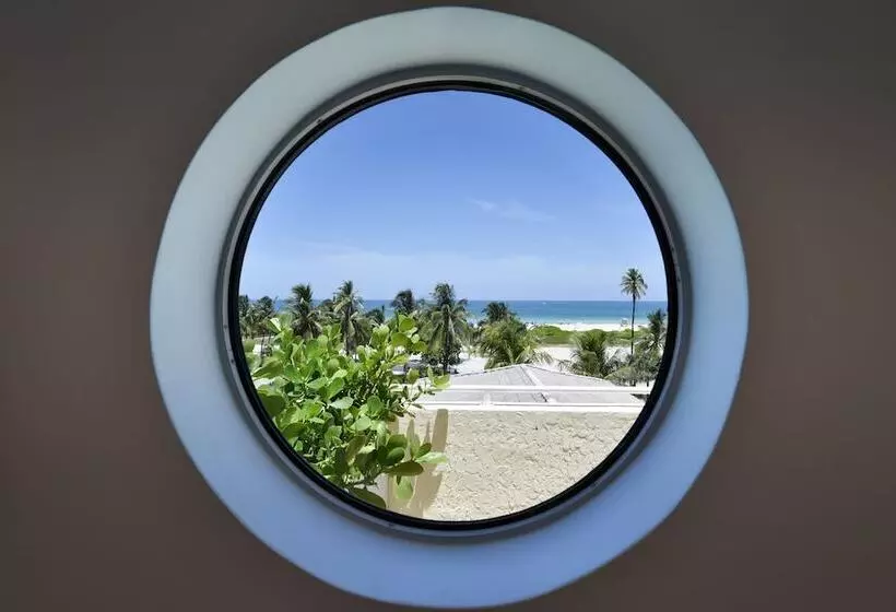 اتاق استاندارد با چشم‌انداز دریا, Ocean