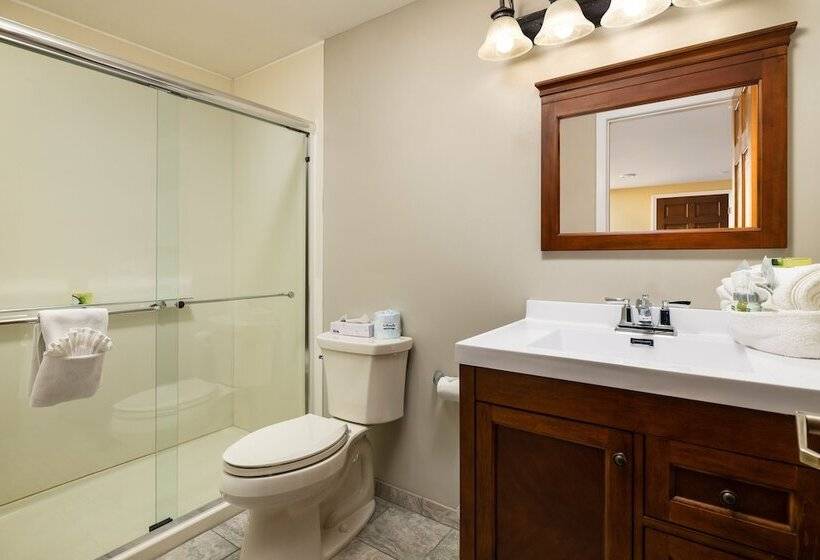 إستوديو قياسى سرير مزدوج, Old Harbor Inn