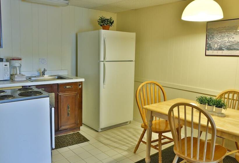 إستوديو قياسى, Naswa Resort