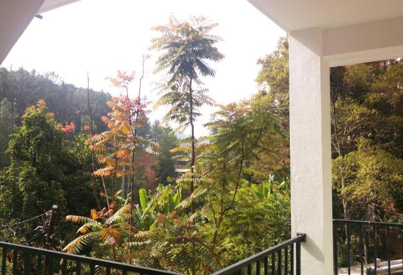 디럭스 4인 룸, Misty Elegance  Ella