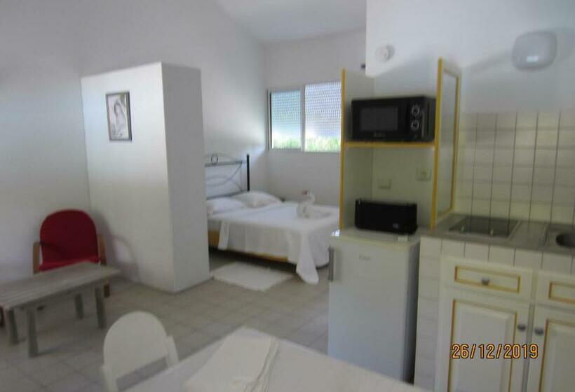 استودیوی استاندارد, Balaga Ocarina