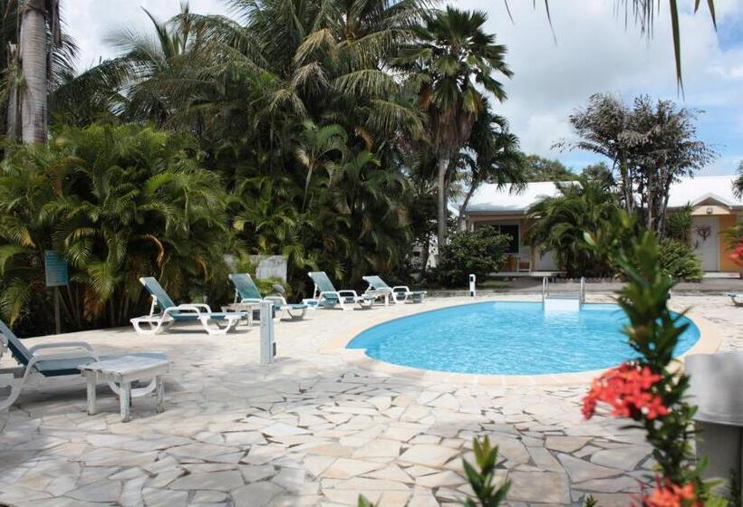 استودیوی استاندارد, Balaga Ocarina