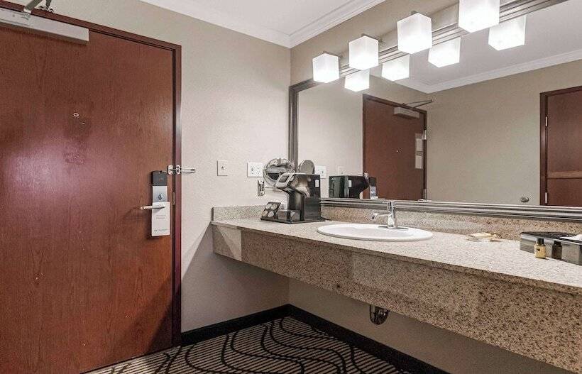 套房, Best Western Plus Orchid Hotel & Suites