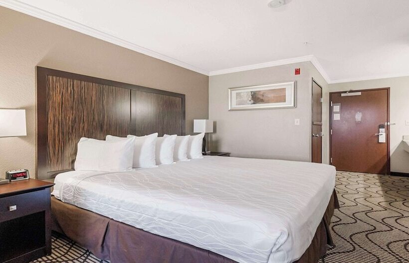 Люкс, Best Western Plus Orchid Hotel & Suites