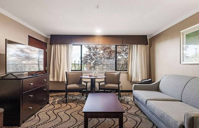 套房, Best Western Plus Orchid Hotel & Suites