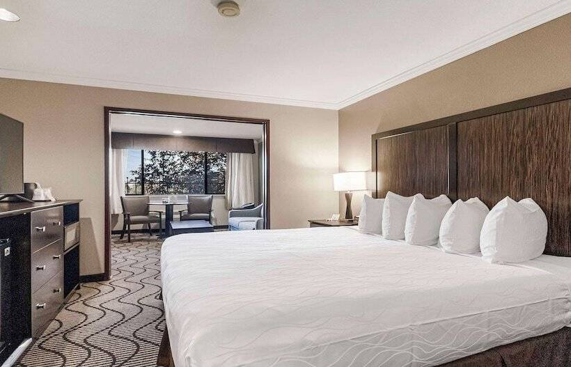 套房, Best Western Plus Orchid Hotel & Suites