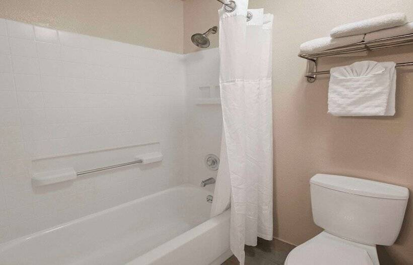 标准间, Best Western Plus Orchid Hotel & Suites