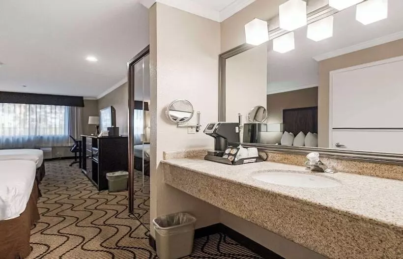 اتاق استاندارد, Best Western Plus Orchid Hotel & Suites