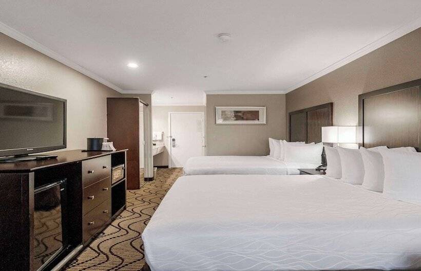 标准间, Best Western Plus Orchid Hotel & Suites