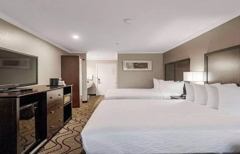 اتاق استاندارد, Best Western Plus Orchid Hotel & Suites
