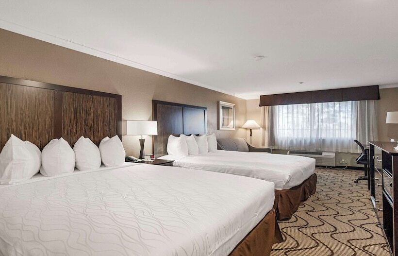 Номер Стандарт, Best Western Plus Orchid Hotel & Suites