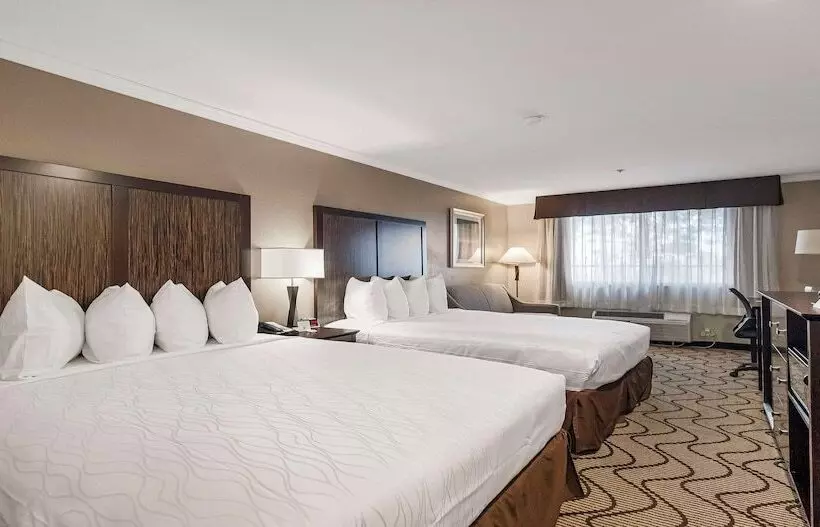 اتاق استاندارد, Best Western Plus Orchid Hotel & Suites