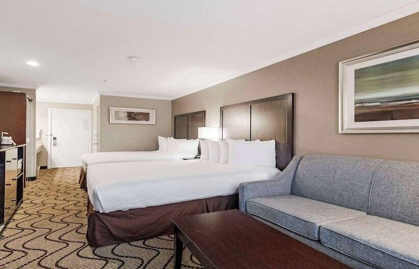 Номер Стандарт, Best Western Plus Orchid Hotel & Suites