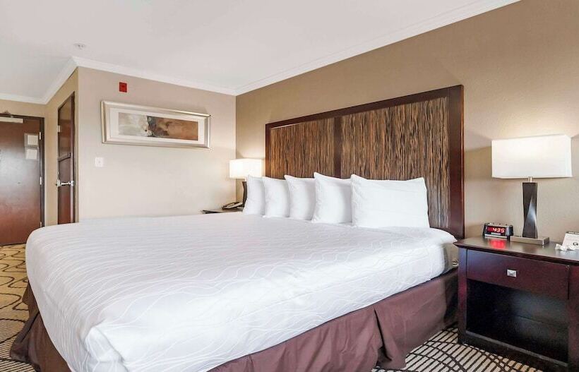 套房, Best Western Plus Orchid Hotel & Suites