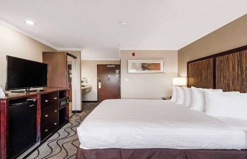 套房, Best Western Plus Orchid Hotel & Suites