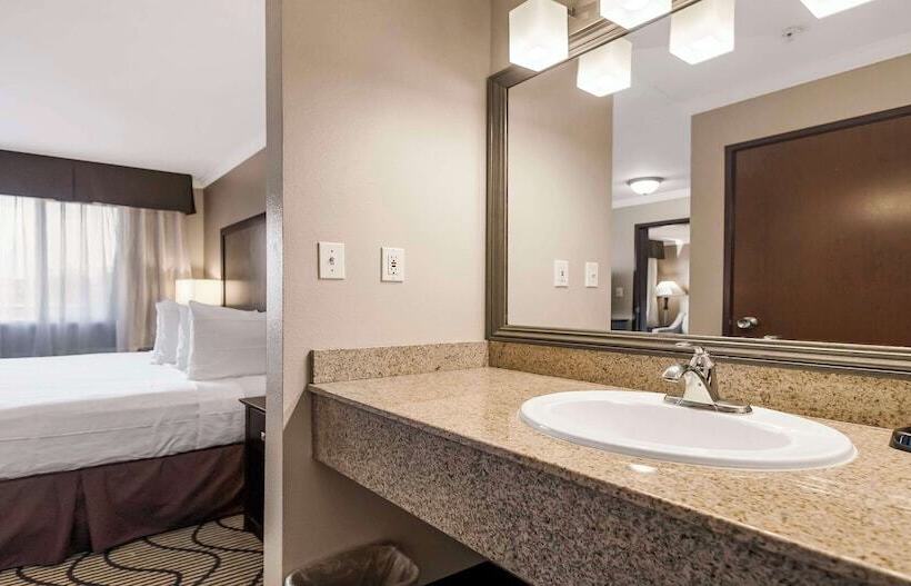 套房, Best Western Plus Orchid Hotel & Suites