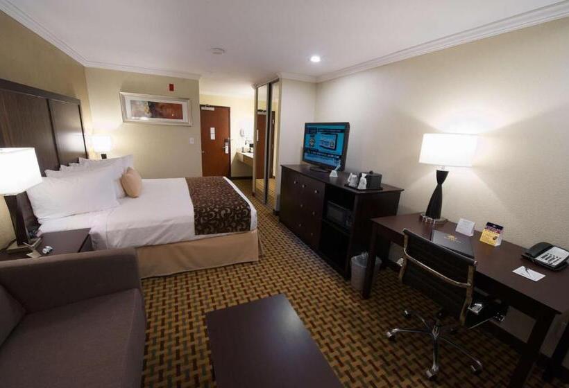 带大床的行政房间, Best Western Plus Orchid Hotel & Suites