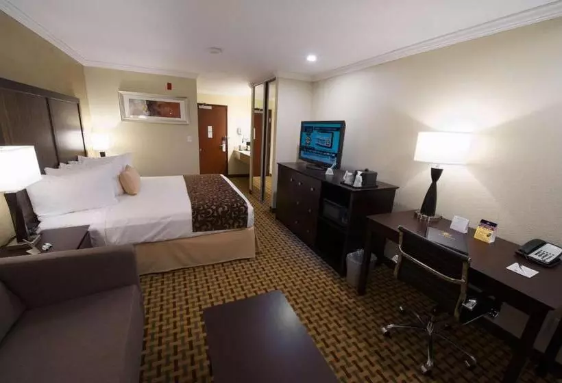 اتاق اجرایی با تخت بزرگ, Best Western Plus Orchid Hotel & Suites