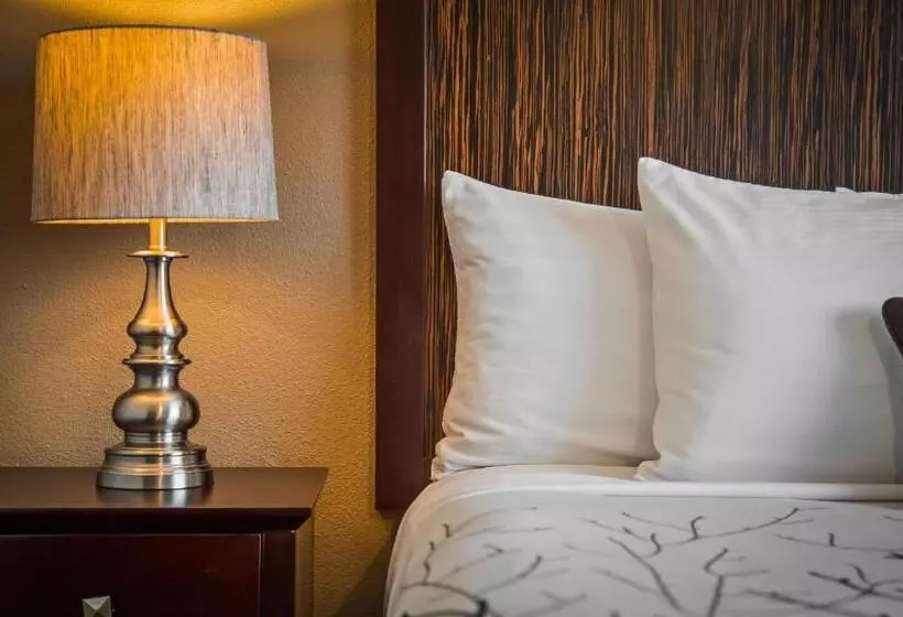اتاق اجرایی با تخت بزرگ, Best Western Plus Orchid Hotel & Suites