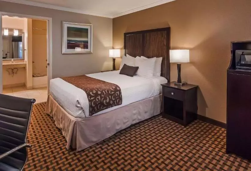 اتاق استاندارد با تخت بزرگ برای معلولان, Best Western Plus Orchid Hotel & Suites