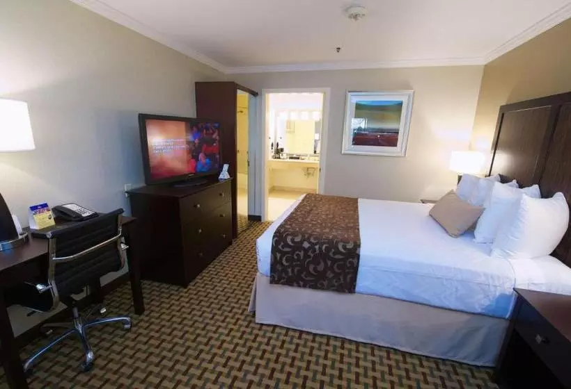 اتاق استاندارد با تخت بزرگ, Best Western Plus Orchid Hotel & Suites