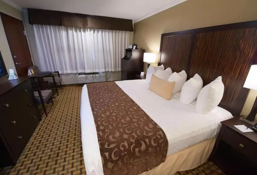 اتاق استاندارد با تخت بزرگ, Best Western Plus Orchid Hotel & Suites