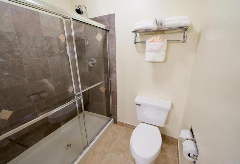 套房, Best Western Plus Orchid Hotel & Suites