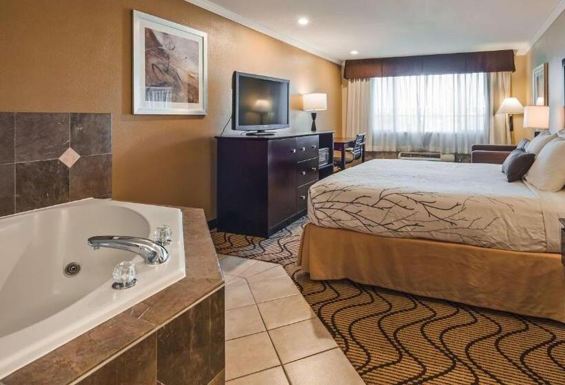 带大床的标准间, Best Western Plus Orchid Hotel & Suites