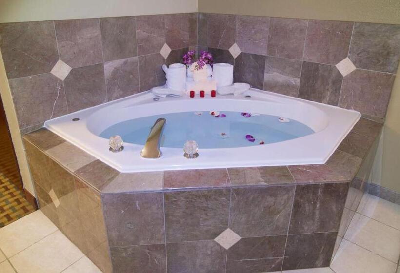 带大床的标准间, Best Western Plus Orchid Hotel & Suites