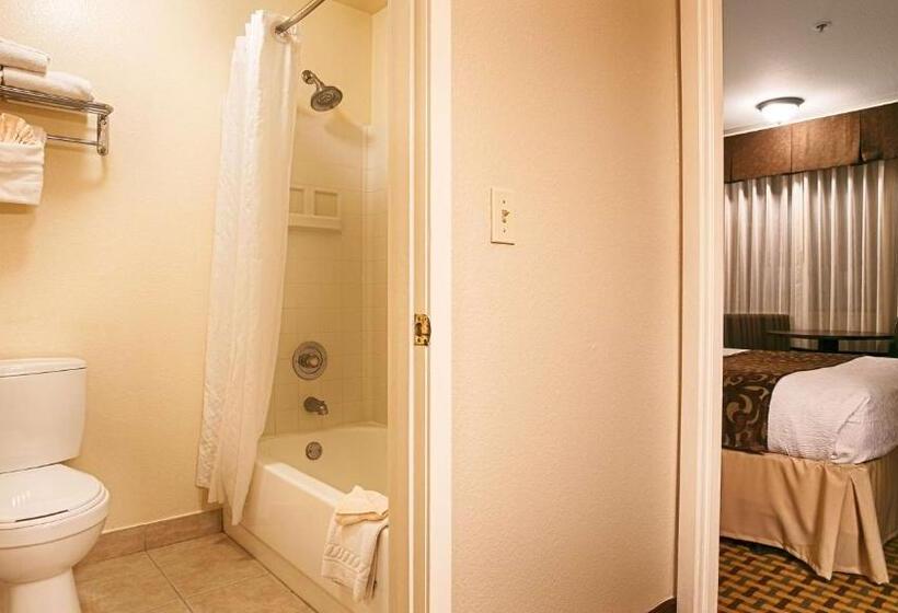 标准间, Best Western Plus Orchid Hotel & Suites