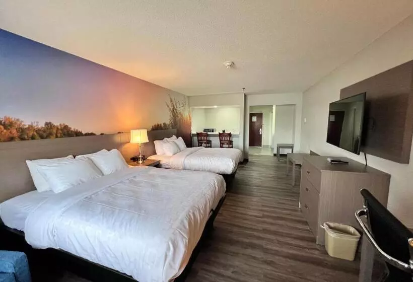 クイーンサイズベッドのスタンダードルーム, Clarion Pointe On The Lake Clarksvillesouth Hill West