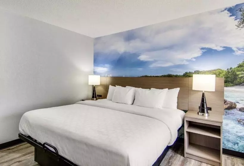 身障者適用スーペリアールーム, Clarion Pointe On The Lake Clarksvillesouth Hill West