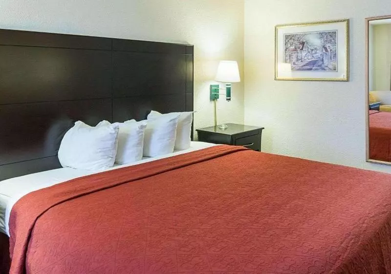 キングサイズベッドのスタンダードルーム, Quality Inn Magnolia