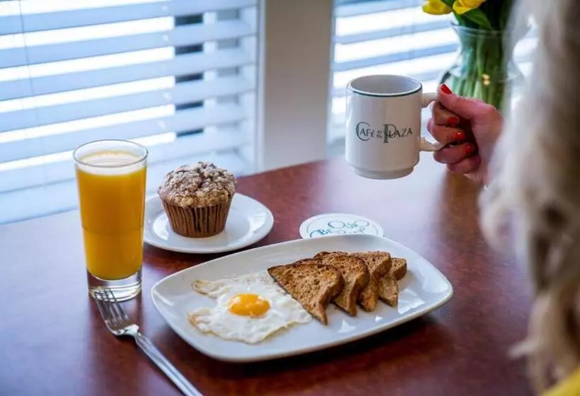 سوییت لوکس, The Plaza Hotel   Milwaukee