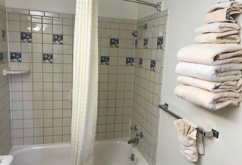 חדר סטנדרט שתי מיטות זוגיות, Paintbrush Motel